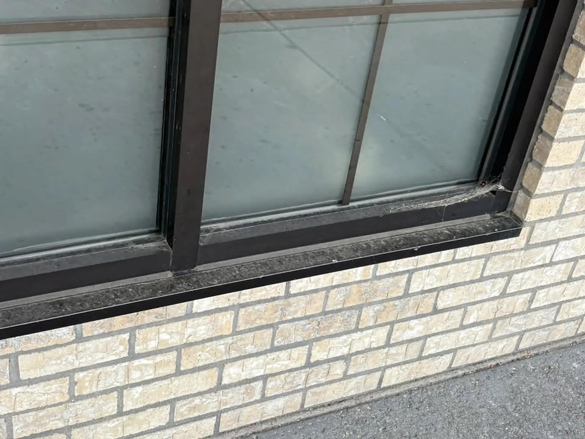 Cleaned window glass and white brick on a commercial unit