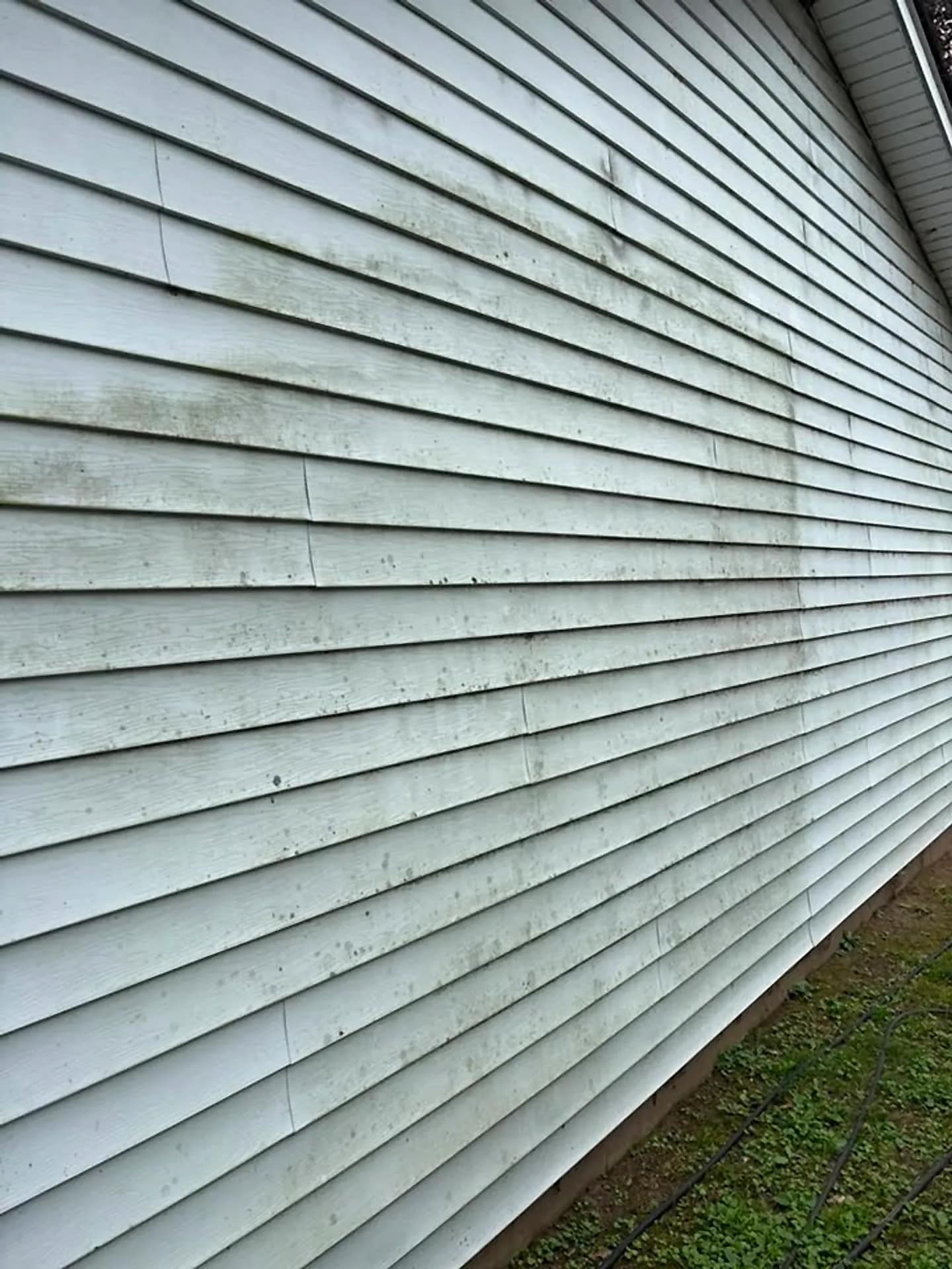 Lap siding cleaned of chalking and algae, colour even across the wall
