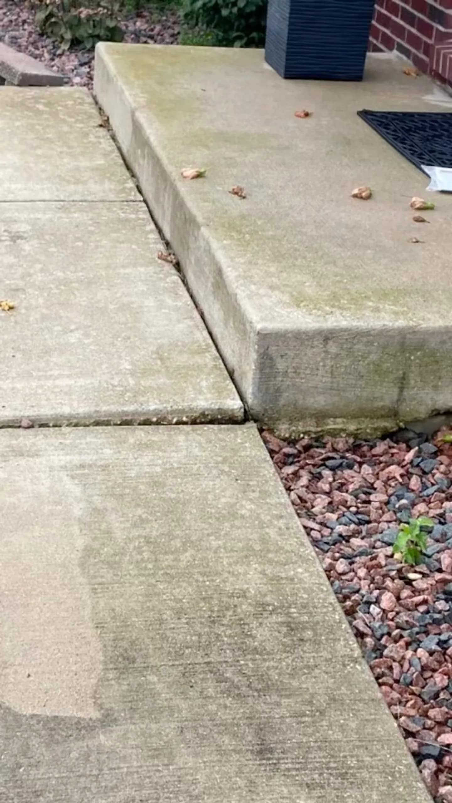 Concrete step and walkway with green algae on the untouched half and clean grey below